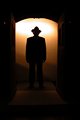 Inspector 3 027