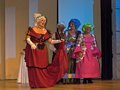 Cinderella (16)