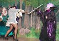 Sleeping Beauty Dec15 (78)
