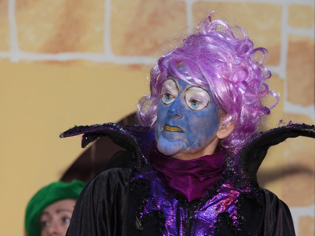 Sleeping Beauty Dec15 (4)