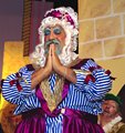Sleeping Beauty Dec15 (50)