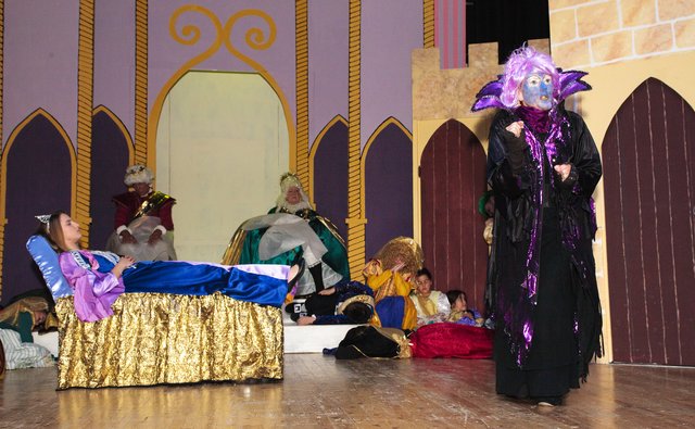 Sleeping Beauty Dec15 (71)