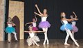 Sleeping Beauty Dec15 (15)