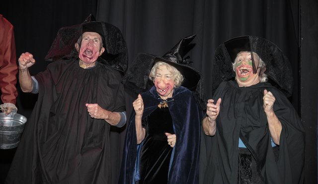 Wyrd Sisters (94)