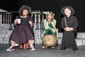 Wyrd Sisters (115)