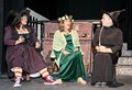 Wyrd Sisters (42)