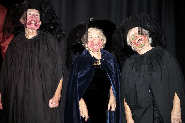 Wyrd Sisters (93)