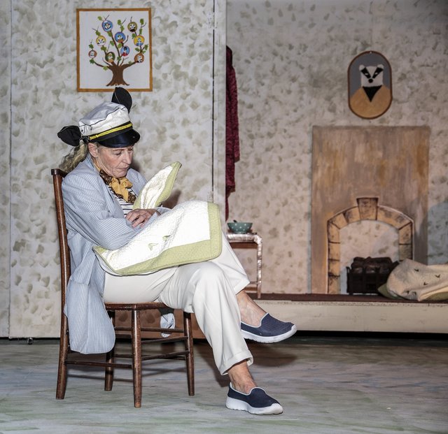 Wind in the Willows (86)