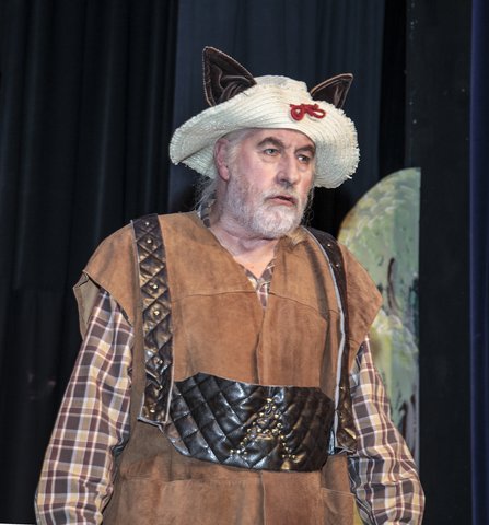 Wind in the Willows (70)