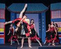 Aladdin (13)