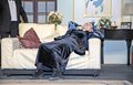 Blithe Spirit (25)