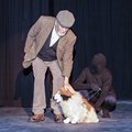 Goodnight Mister Tom (33)